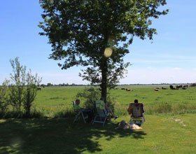 De camping bij Camping & Boertel De Maarsdijk