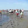 Wadlopen