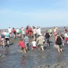 Wadlopen